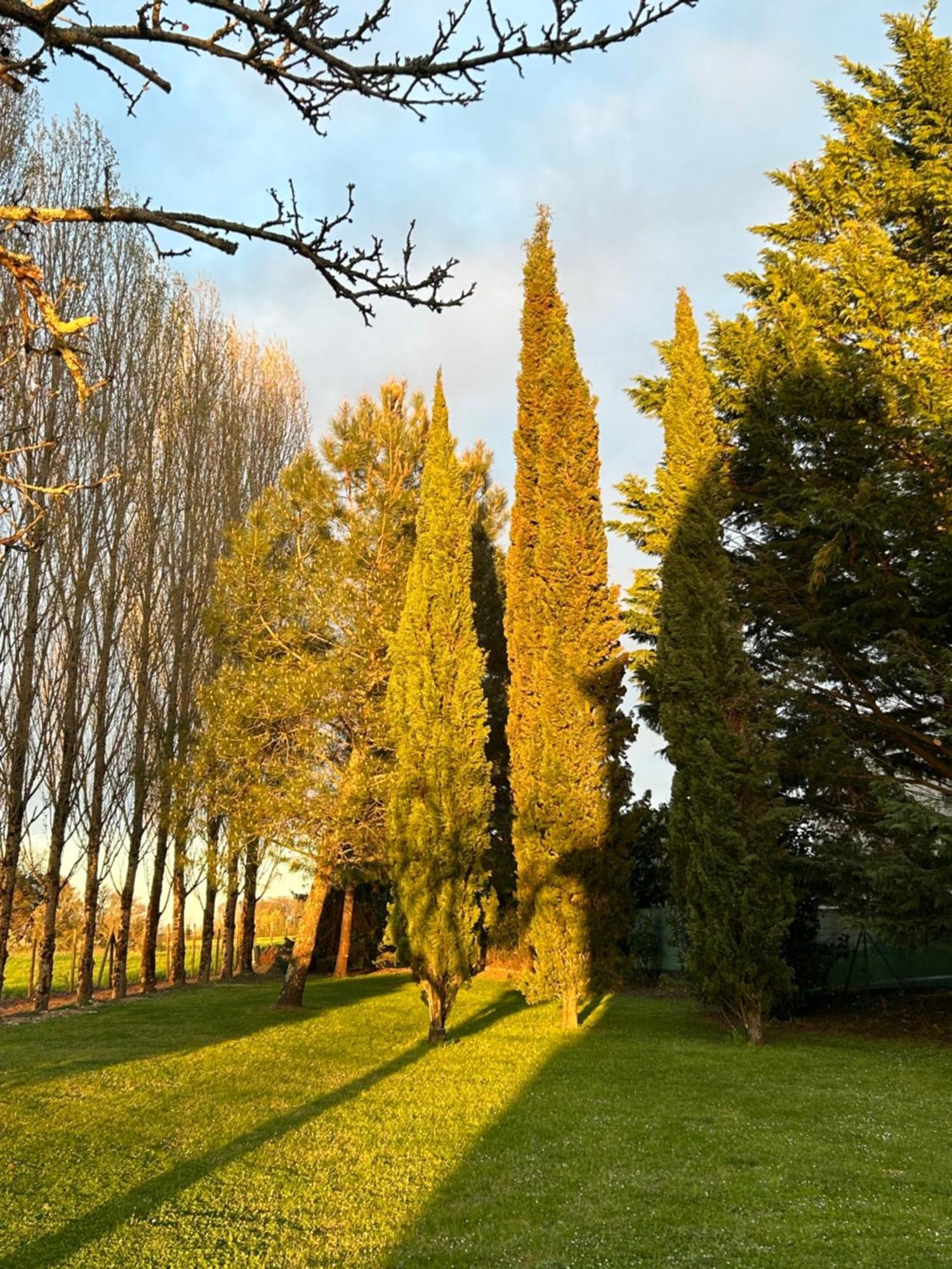 Domaine De La Gemoliere Panzió Gémozac Kültér fotó